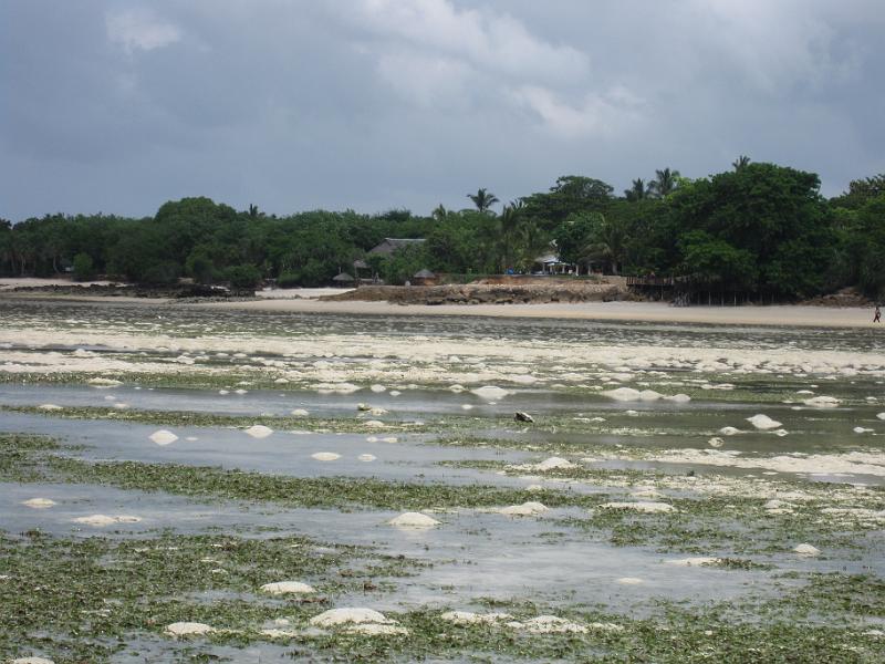 Hotel at low tide.JPG